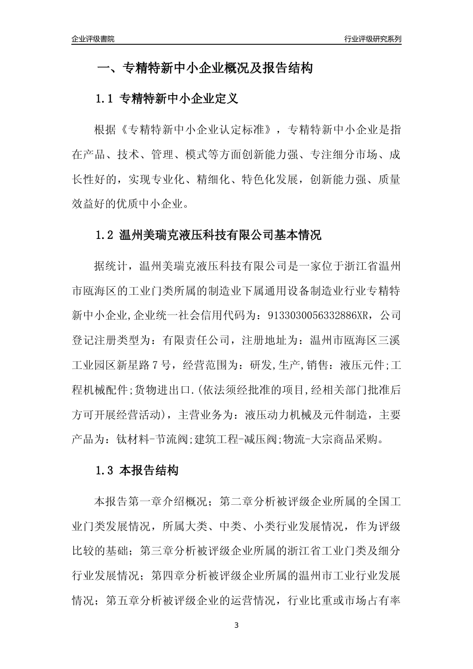 [专精特新]温州美瑞克液压科技有限公司行业竞争力评级分析报告(2023版)_第3页