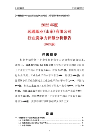[专精特新]远通纸业(山东)有限公司行业竞争力评级分析报告(2023版)