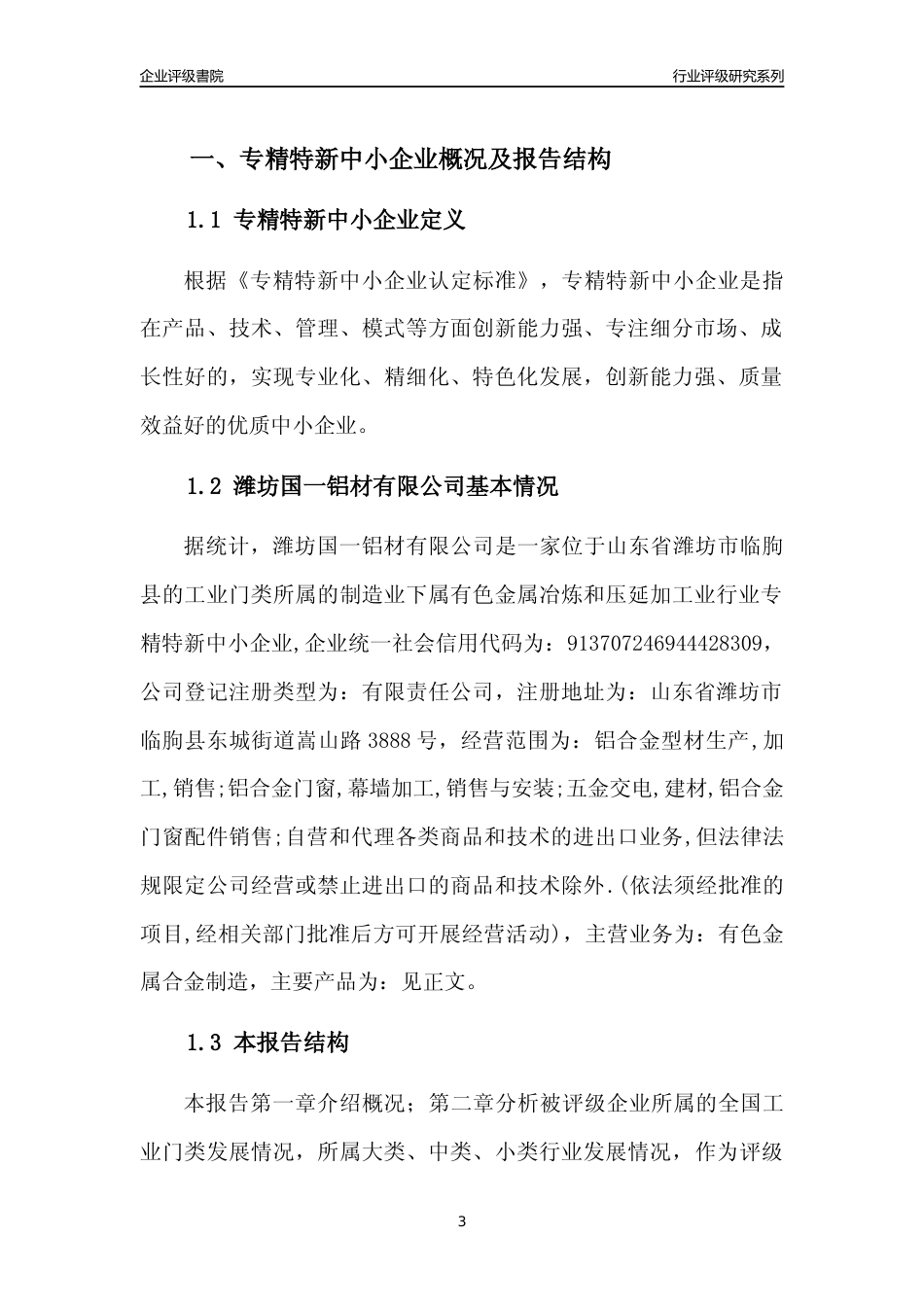 [专精特新]潍坊国一铝材有限公司行业竞争力评级分析报告(2023版)_第3页