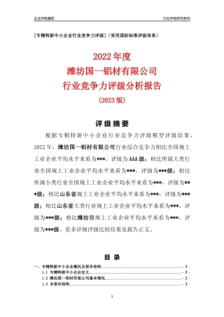 [专精特新]潍坊国一铝材有限公司行业竞争力评级分析报告(2023版)