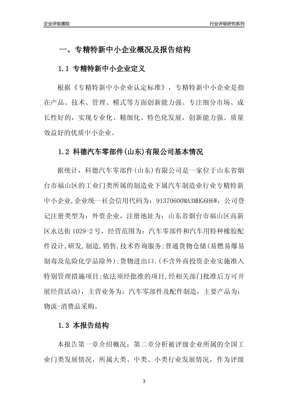 [专精特新]科德汽车零部件(山东)有限公司行业竞争力评级分析报告(2023版)_第3页