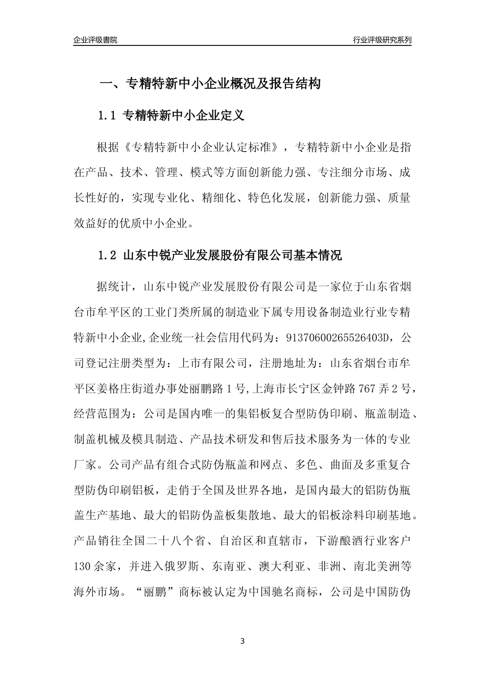 [专精特新]山东中锐产业发展股份有限公司行业竞争力评级分析报告(2023版)_第3页