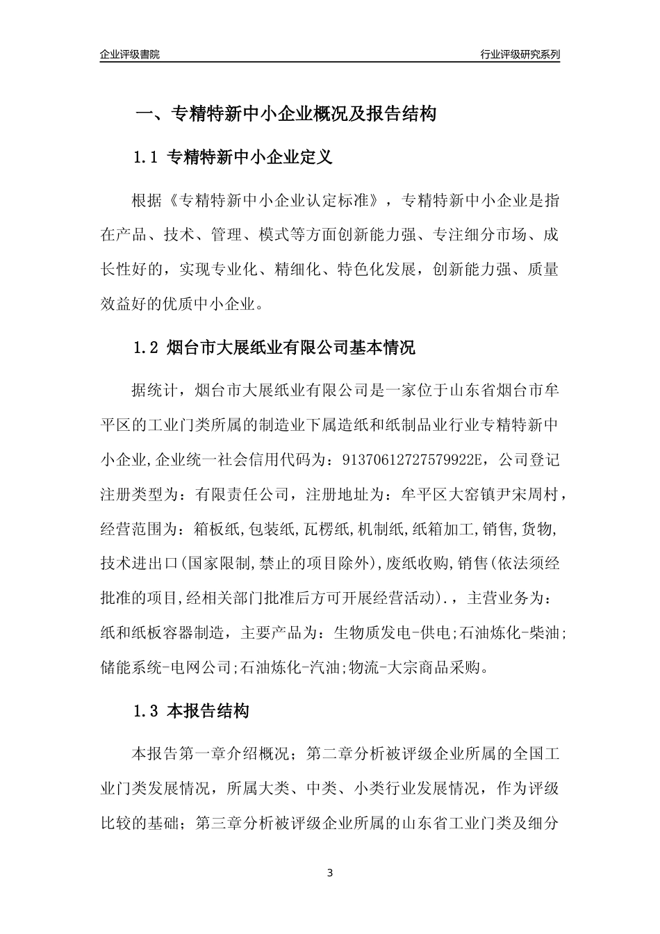 [专精特新]烟台市大展纸业有限公司行业竞争力评级分析报告(2023版)_第3页