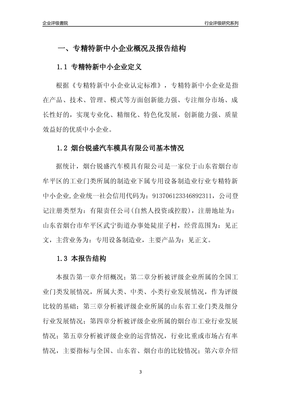 [专精特新]烟台锐盛汽车模具有限公司行业竞争力评级分析报告(2023版)_第3页