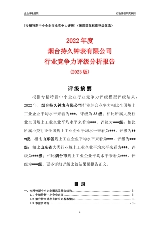 [专精特新]烟台持久钟表有限公司行业竞争力评级分析报告(2023版)