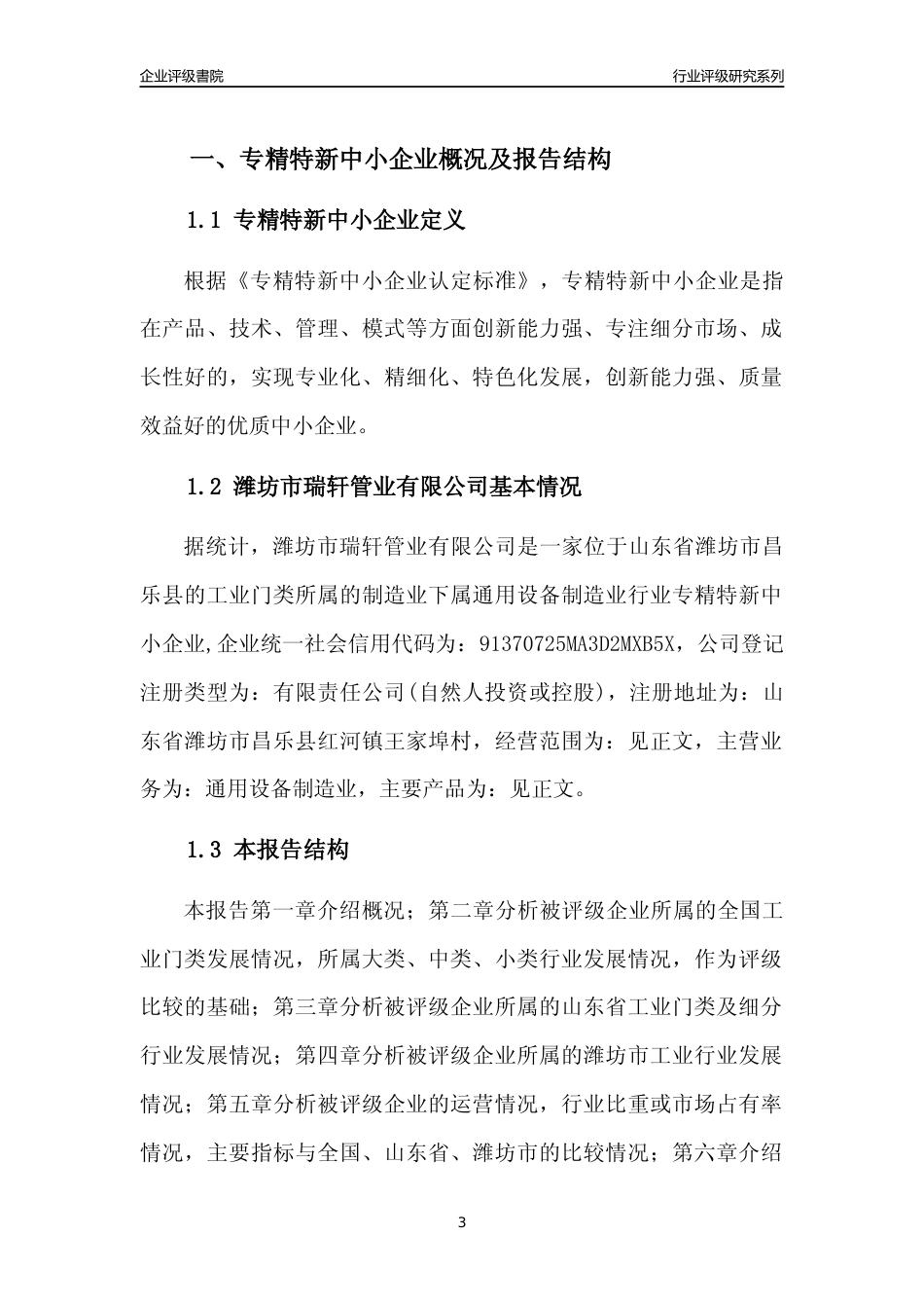 [专精特新]潍坊市瑞轩管业有限公司行业竞争力评级分析报告(2023版)_第3页