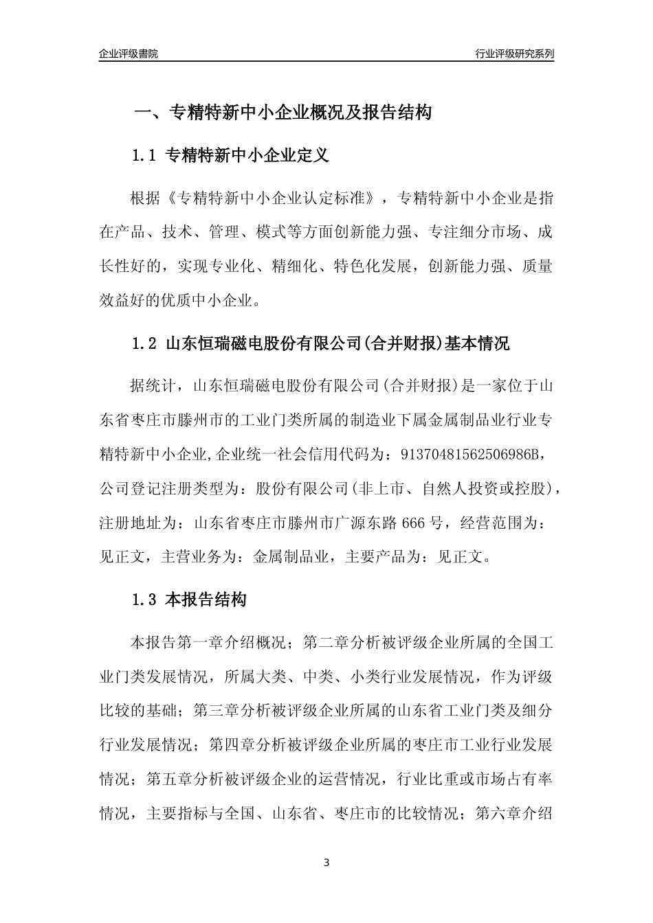 [专精特新]山东恒瑞磁电股份有限公司(合并财报)行业竞争力评级分析报告(2023版).docx_第3页