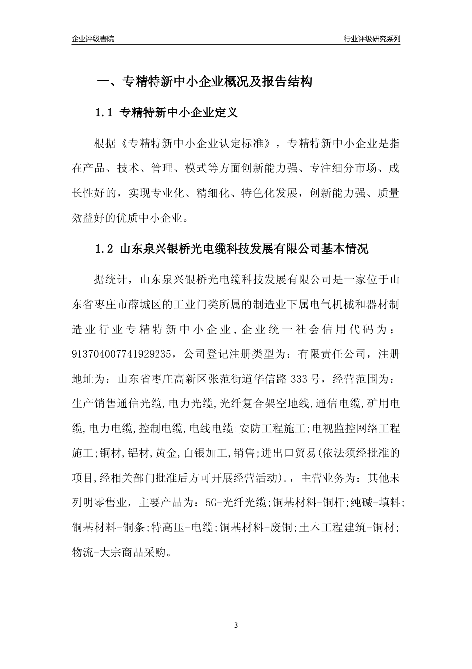 [专精特新]山东泉兴银桥光电缆科技发展有限公司行业竞争力评级分析报告(2023版).docx_第3页