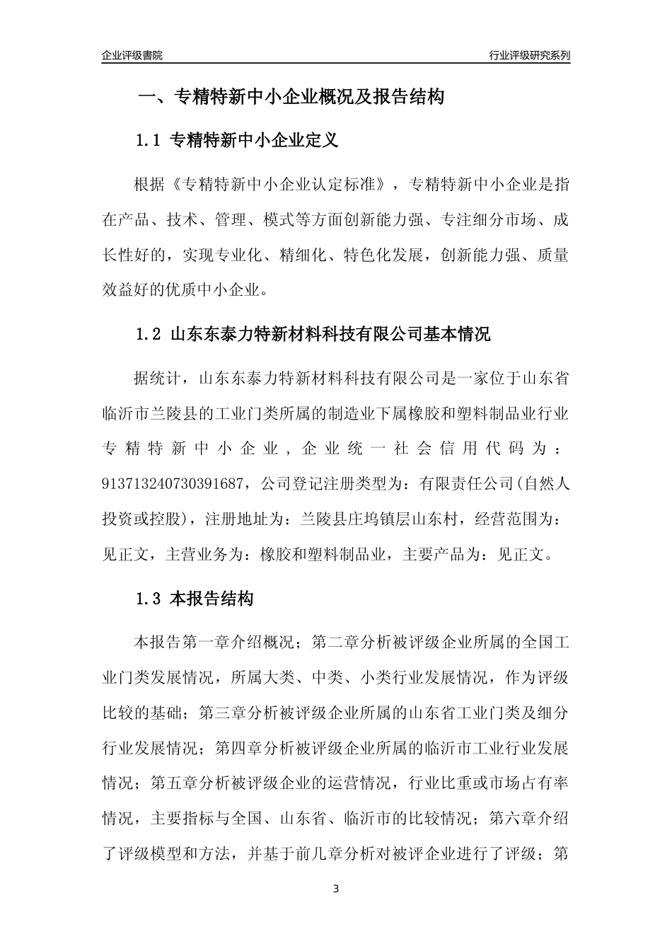 [专精特新]山东东泰力特新材料科技有限公司行业竞争力评级分析报告(2023版)_第3页