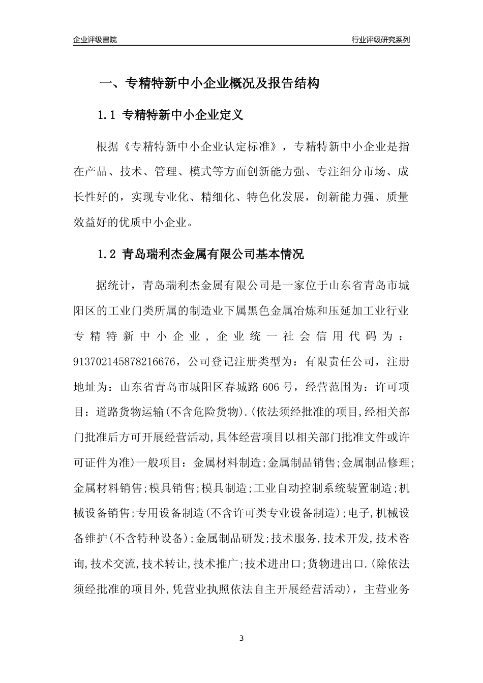 [专精特新]青岛瑞利杰金属有限公司行业竞争力评级分析报告(2023版)_第3页