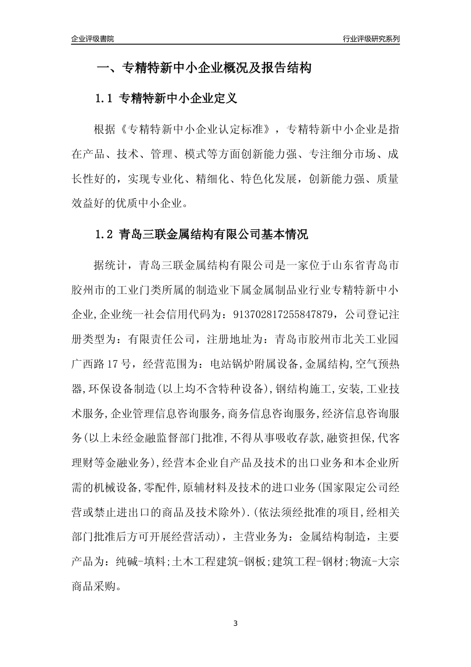 [专精特新]青岛三联金属结构有限公司行业竞争力评级分析报告(2023版)_第3页