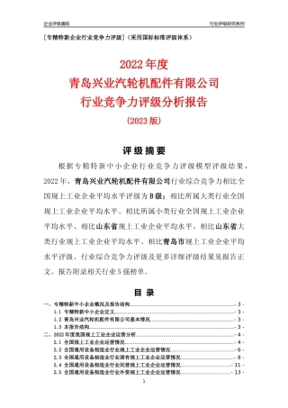 [专精特新]青岛兴业汽轮机配件有限公司行业竞争力评级分析报告(2023版)