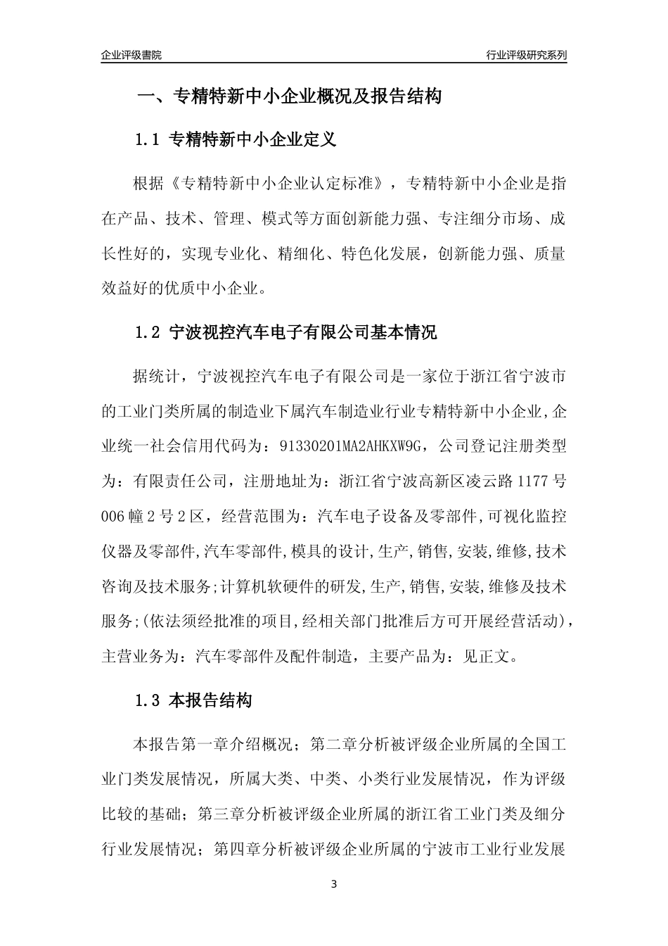 [专精特新]宁波视控汽车电子有限公司行业竞争力评级分析报告(2023版)_第3页