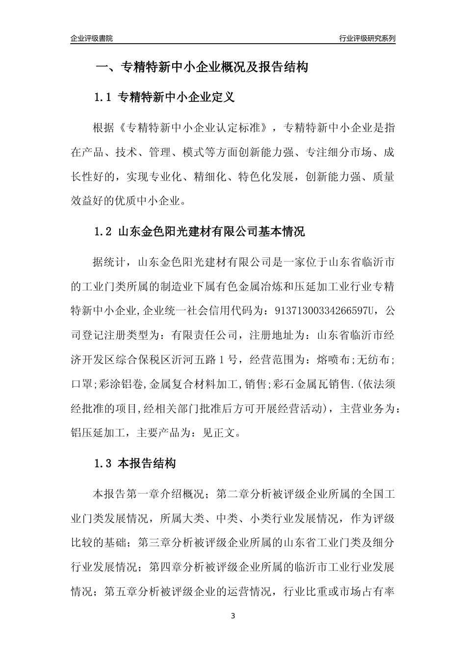 [专精特新]山东金色阳光建材有限公司行业竞争力评级分析报告(2023版)_第3页