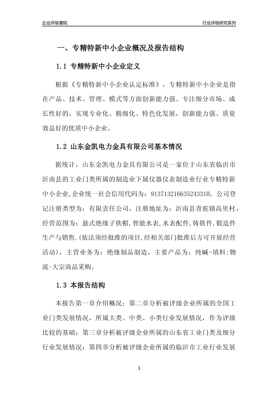 [专精特新]山东金凯电力金具有限公司行业竞争力评级分析报告(2023版)_第3页