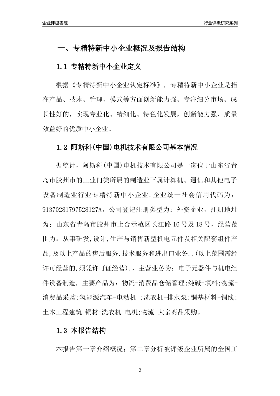 [专精特新]阿斯科(中国)电机技术有限公司行业竞争力评级分析报告(2023版)_第3页