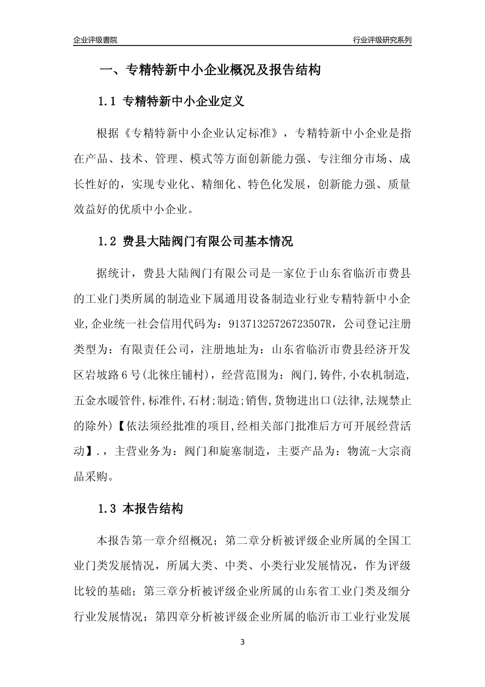 [专精特新]费县大陆阀门有限公司行业竞争力评级分析报告(2023版)_第3页