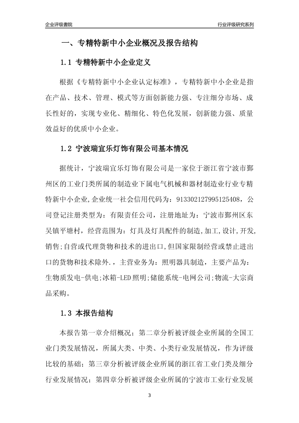 [专精特新]宁波瑞宜乐灯饰有限公司行业竞争力评级分析报告(2023版)_第3页