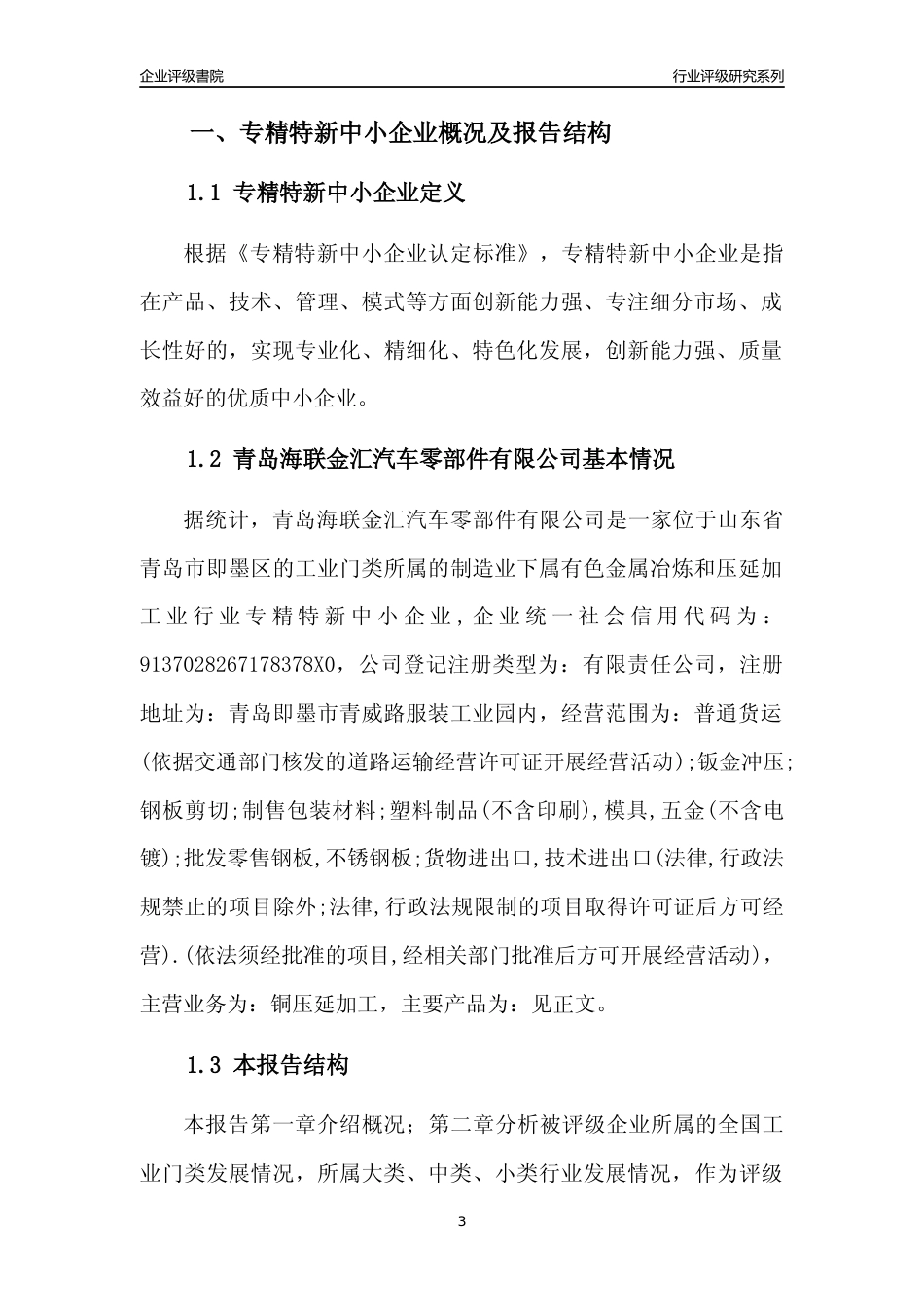 [专精特新]青岛海联金汇汽车零部件有限公司行业竞争力评级分析报告(2023版)_第3页