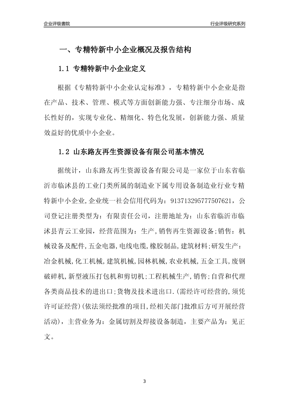 [专精特新]山东路友再生资源设备有限公司行业竞争力评级分析报告(2023版)_第3页