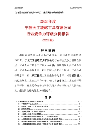 [专精特新]宁波天工凌屹工具有限公司行业竞争力评级分析报告(2023版)