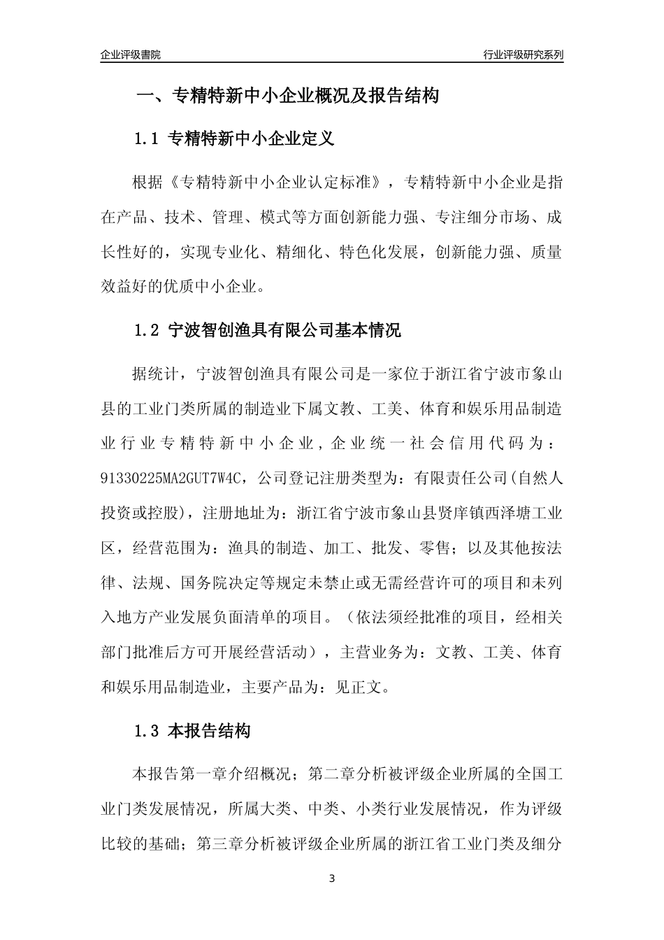 [专精特新]宁波智创渔具有限公司行业竞争力评级分析报告(2023版)_第3页