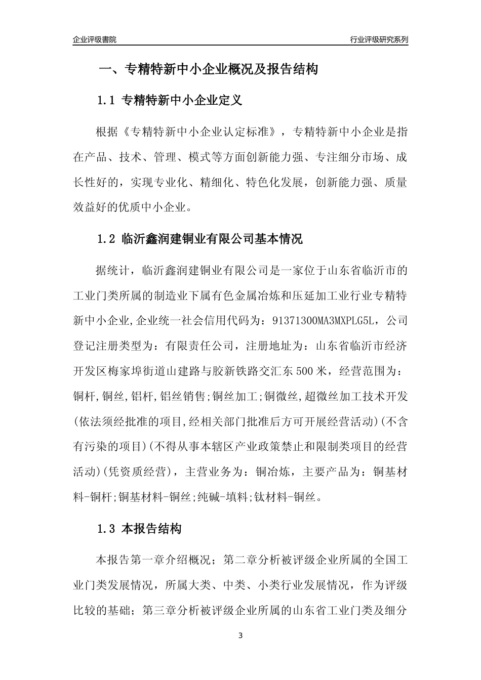 [专精特新]临沂鑫润建铜业有限公司行业竞争力评级分析报告(2023版)_第3页