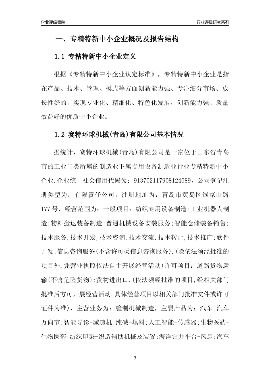 [专精特新]赛特环球机械(青岛)有限公司行业竞争力评级分析报告(2023版)_第3页