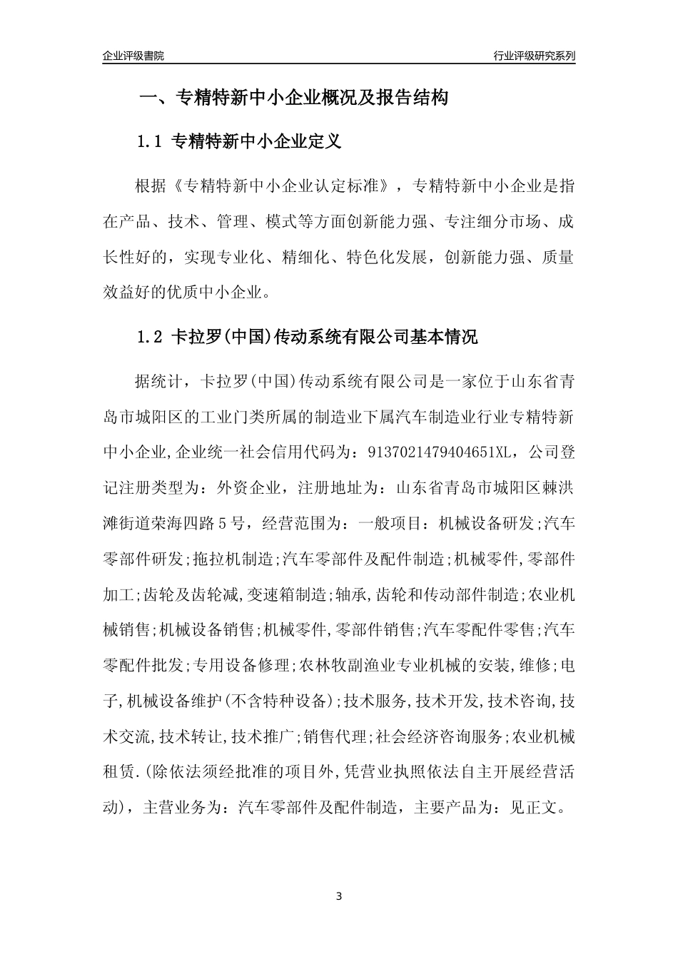 [专精特新]卡拉罗(中国)传动系统有限公司行业竞争力评级分析报告(2023版)_第3页