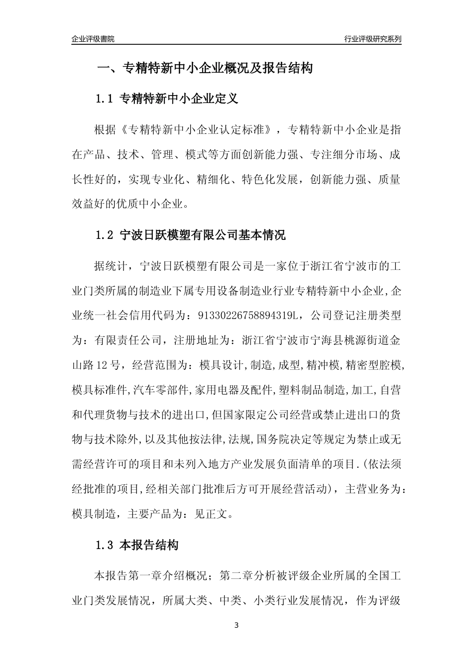 [专精特新]宁波日跃模塑有限公司行业竞争力评级分析报告(2023版)_第3页