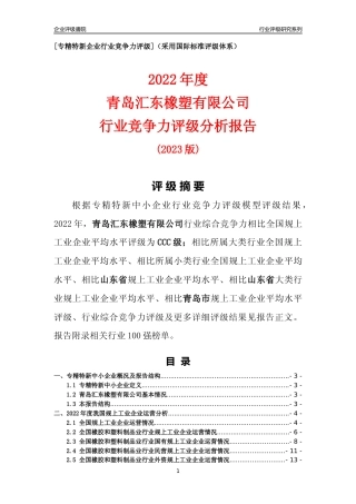 [专精特新]青岛汇东橡塑有限公司行业竞争力评级分析报告(2023版)