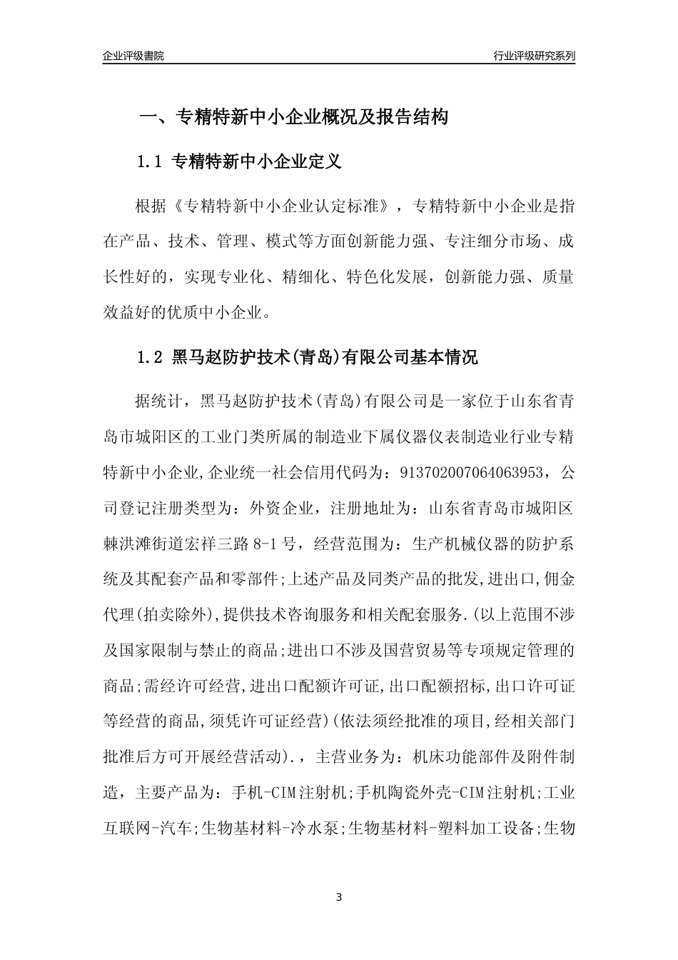 [专精特新]黑马赵防护技术(青岛)有限公司行业竞争力评级分析报告(2023版)_第3页