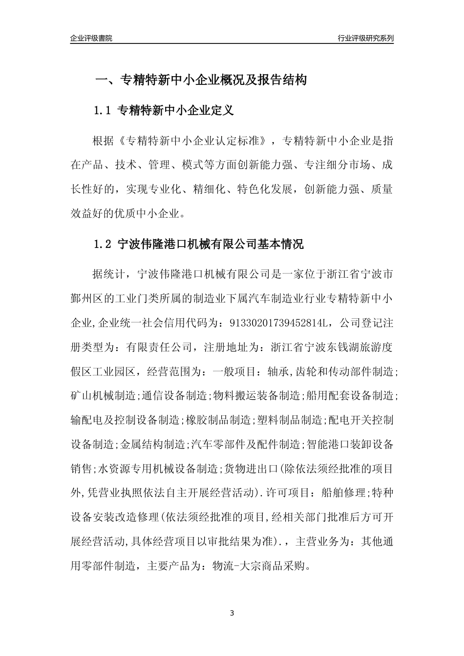 [专精特新]宁波伟隆港口机械有限公司行业竞争力评级分析报告(2023版)_第3页