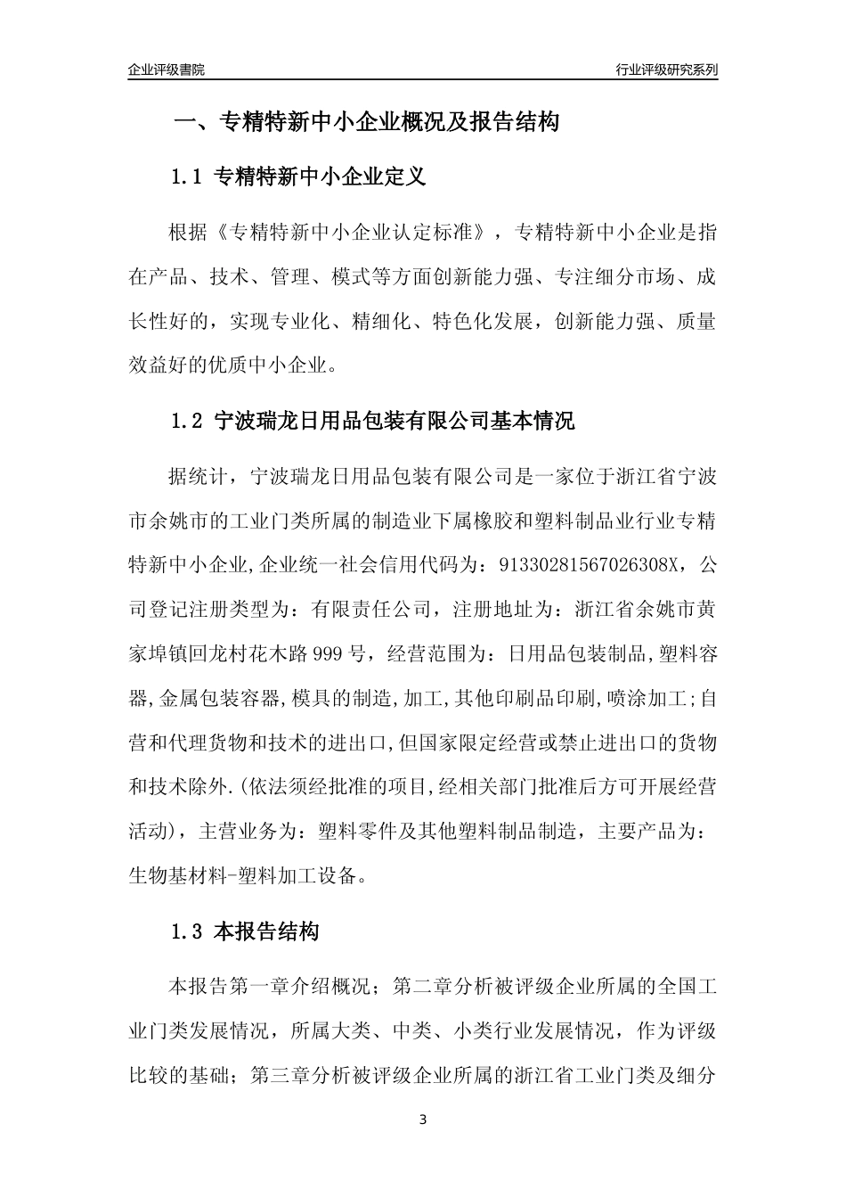 [专精特新]宁波瑞龙日用品包装有限公司行业竞争力评级分析报告(2023版)_第3页