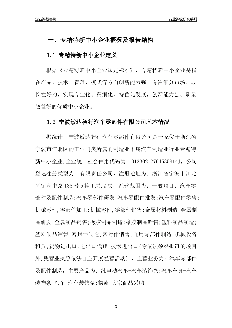 [专精特新]宁波敏达智行汽车零部件有限公司行业竞争力评级分析报告(2023版)_第3页