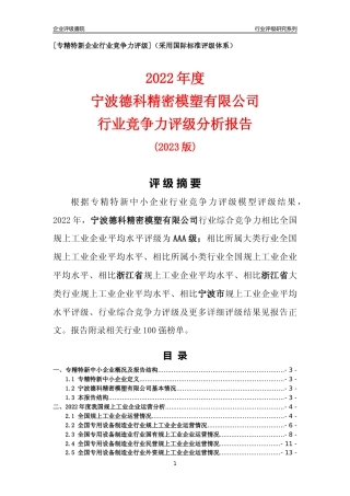 [专精特新]宁波德科精密模塑有限公司行业竞争力评级分析报告(2023版)