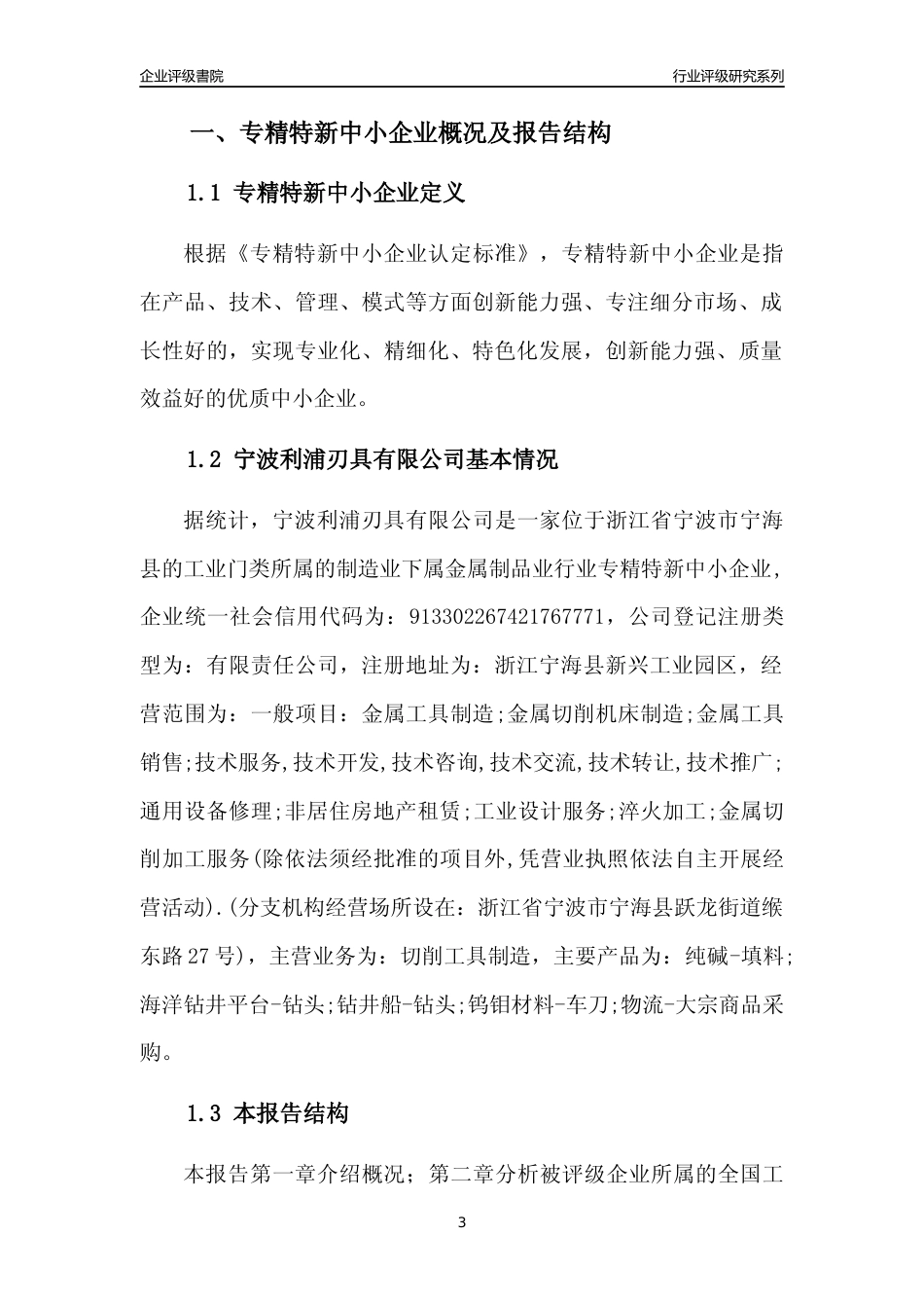 [专精特新]宁波利浦刃具有限公司行业竞争力评级分析报告(2023版)_第3页