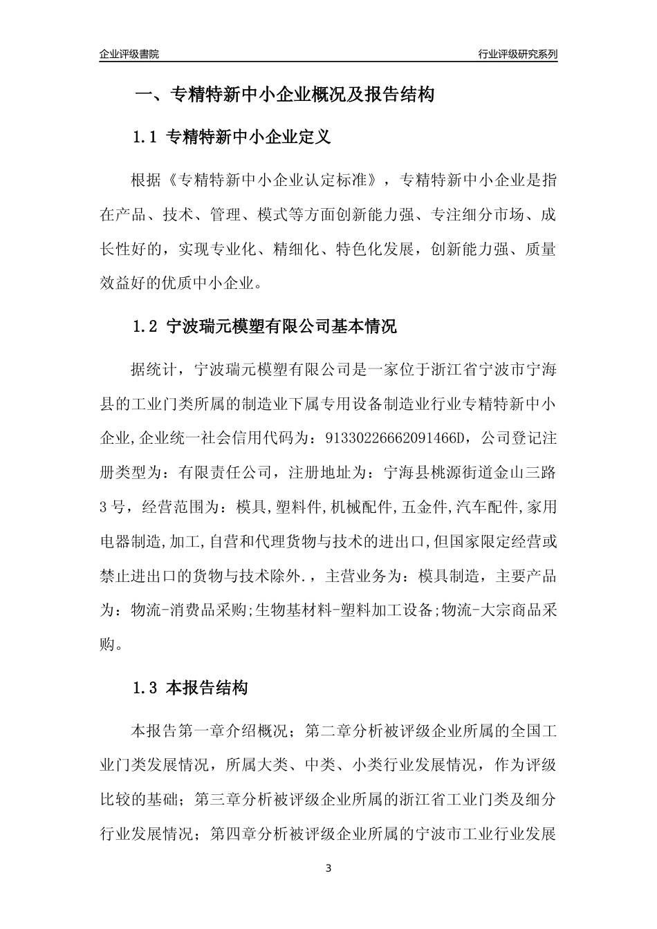 [专精特新]宁波瑞元模塑有限公司行业竞争力评级分析报告(2023版)_第3页