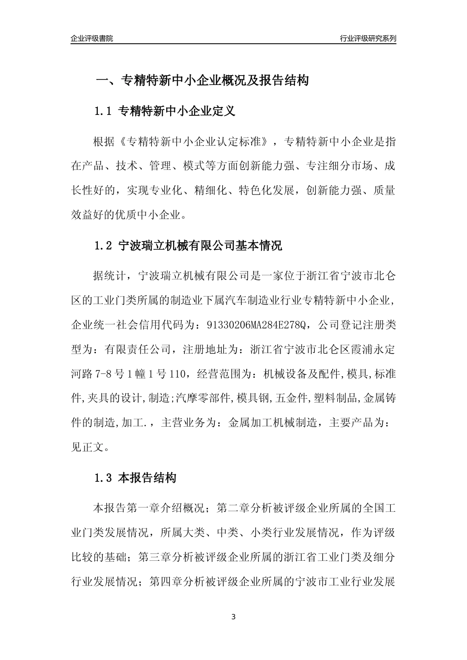 [专精特新]宁波瑞立机械有限公司行业竞争力评级分析报告(2023版)_第3页