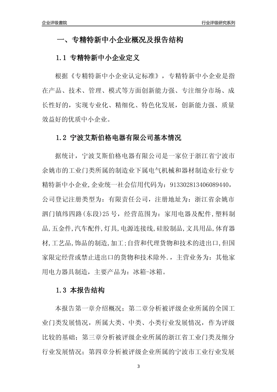 [专精特新]宁波艾斯伯格电器有限公司行业竞争力评级分析报告(2023版)_第3页