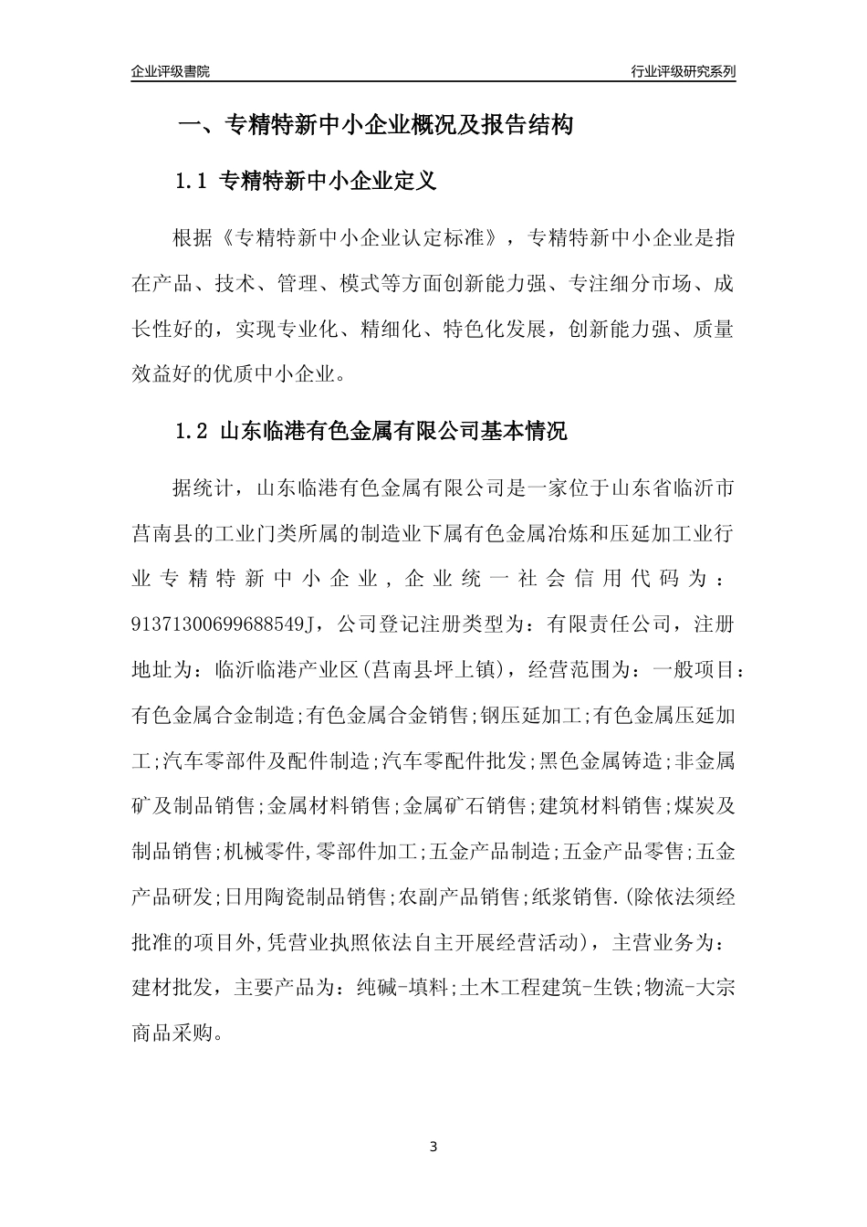 [专精特新]山东临港有色金属有限公司行业竞争力评级分析报告(2023版)_第3页