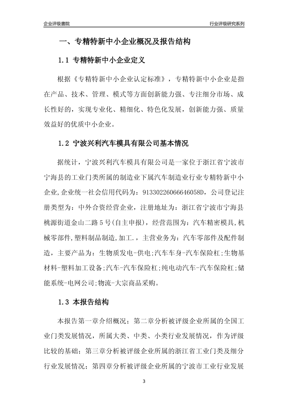 [专精特新]宁波兴利汽车模具有限公司行业竞争力评级分析报告(2023版)_第3页