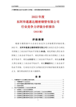 [专精特新]东阿华通惠达精密钢管有限公司行业竞争力评级分析报告(2023版)