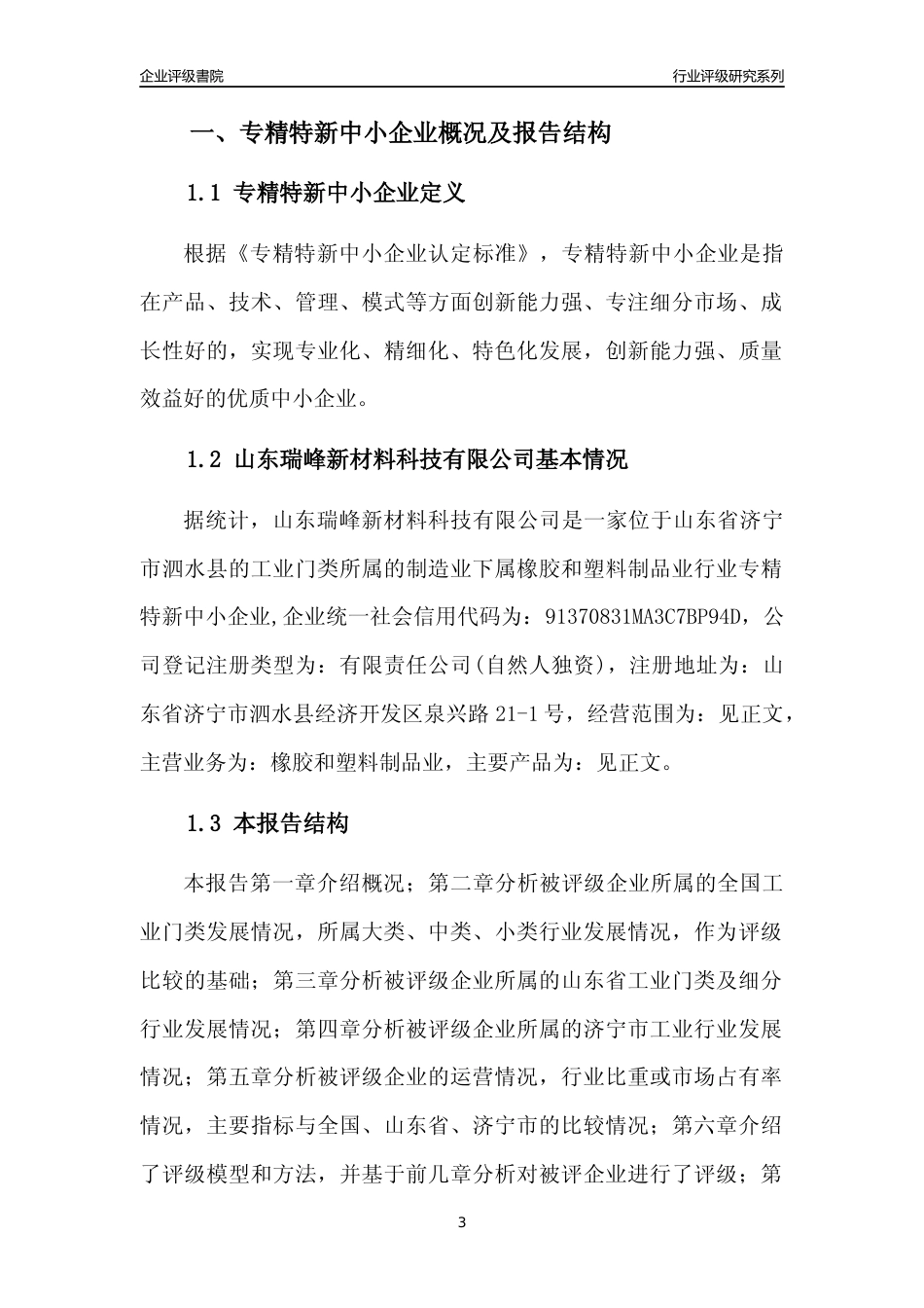 [专精特新]山东瑞峰新材料科技有限公司行业竞争力评级分析报告(2023版)_第3页