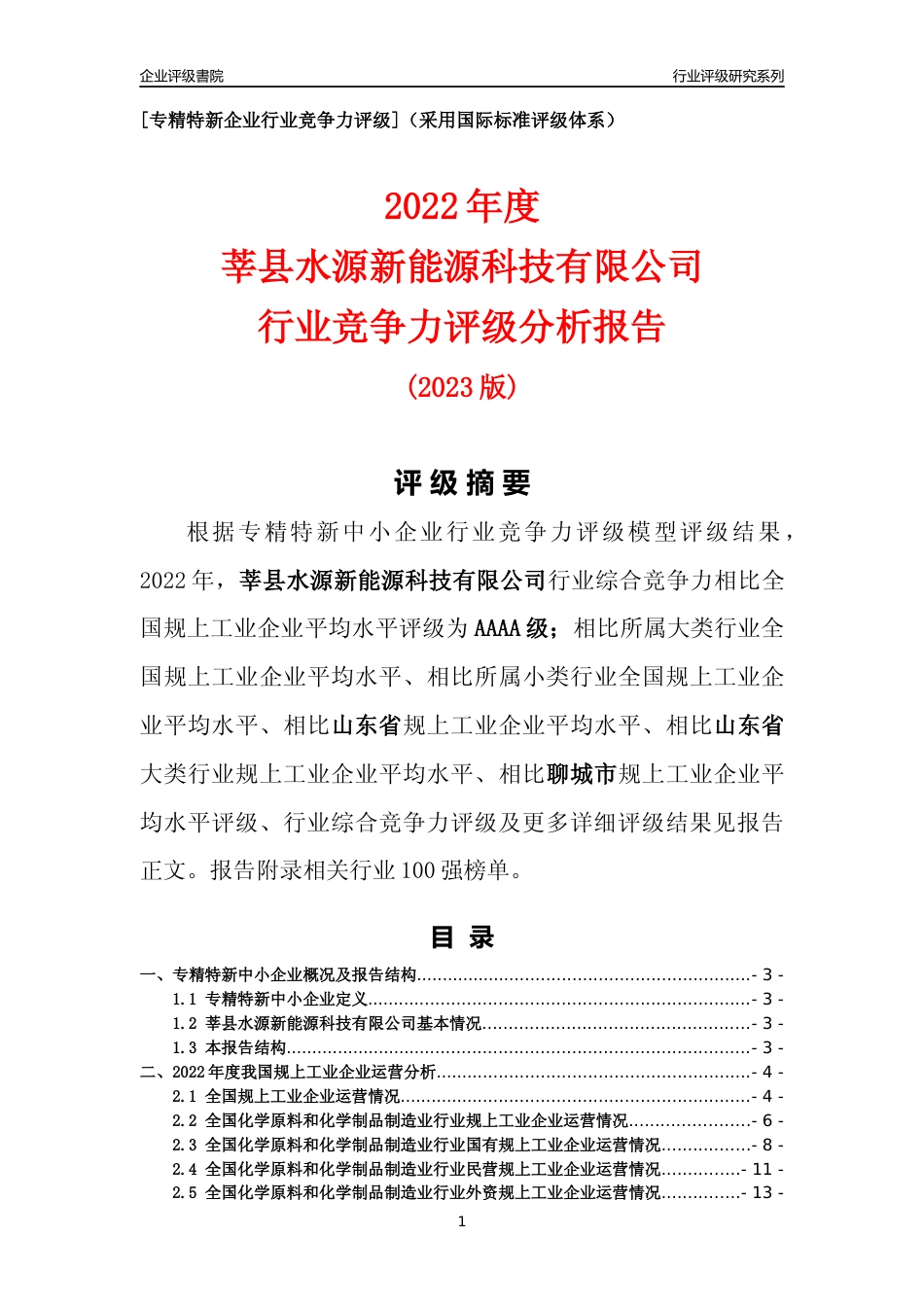 [专精特新]莘县水源新能源科技有限公司行业竞争力评级分析报告(2023版)_第1页