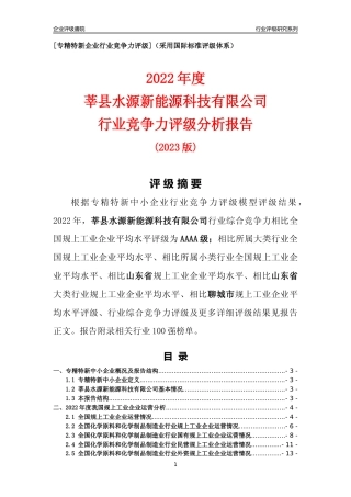 [专精特新]莘县水源新能源科技有限公司行业竞争力评级分析报告(2023版)