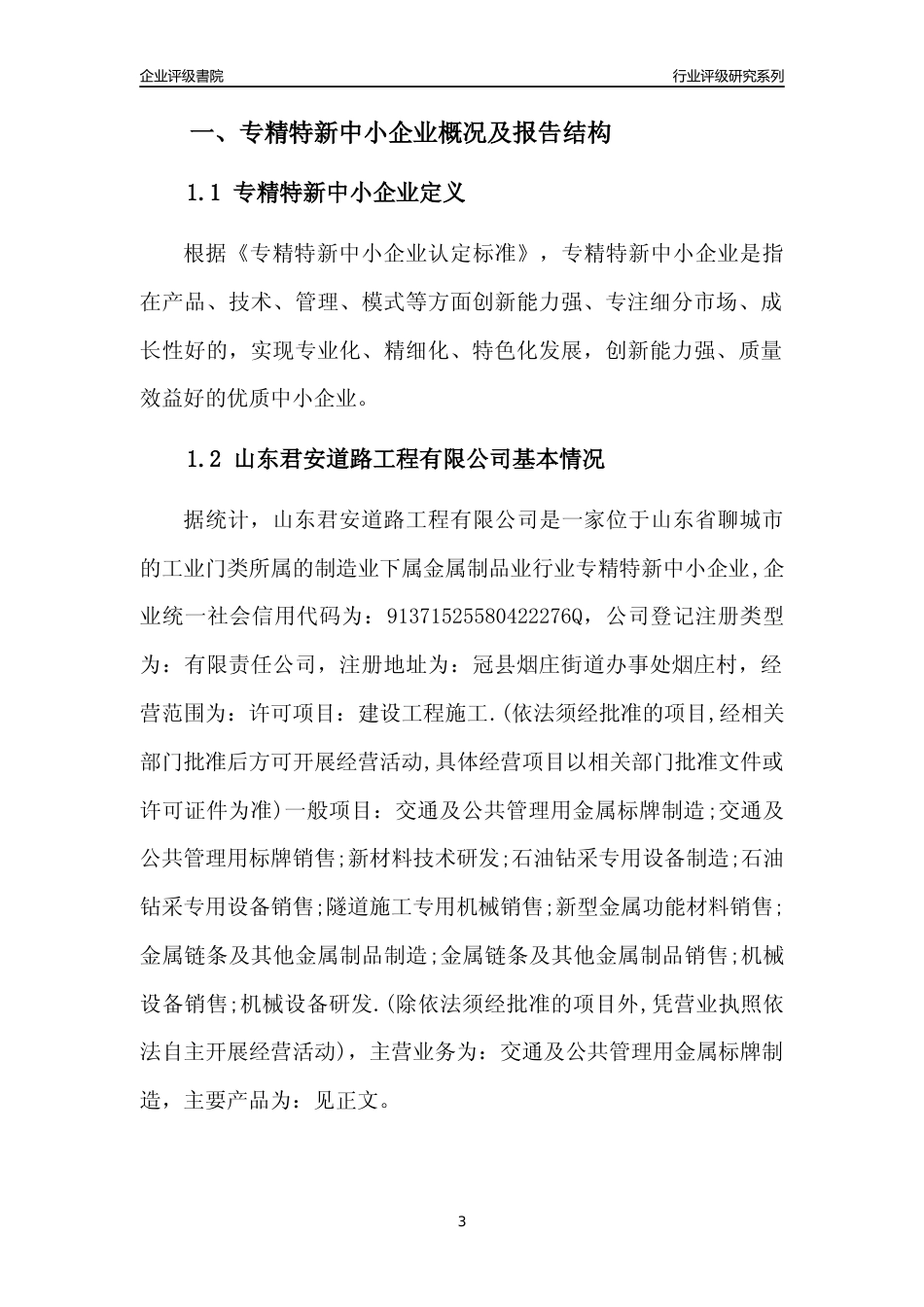 [专精特新]山东君安道路工程有限公司行业竞争力评级分析报告(2023版)_第3页