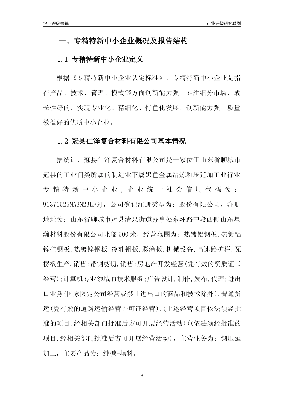 [专精特新]冠县仁泽复合材料有限公司行业竞争力评级分析报告(2023版)_第3页