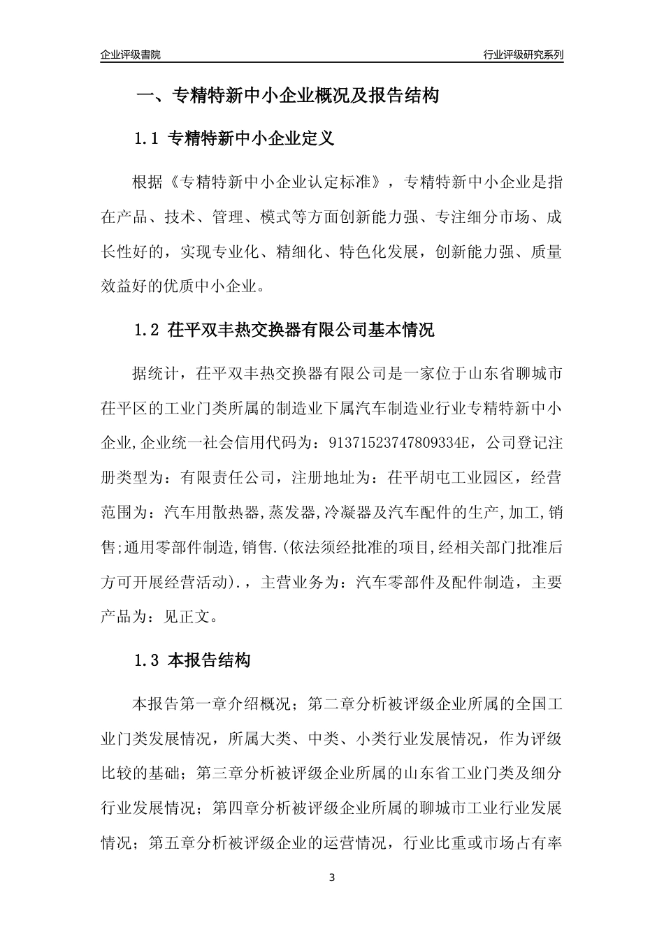 [专精特新]茌平双丰热交换器有限公司行业竞争力评级分析报告(2023版)_第3页