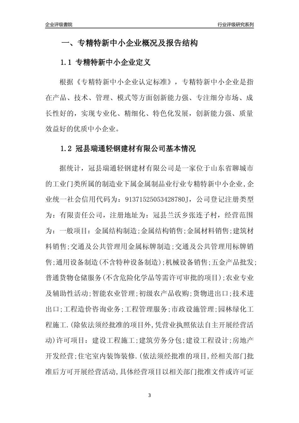 [专精特新]冠县瑞通轻钢建材有限公司行业竞争力评级分析报告(2023版)_第3页